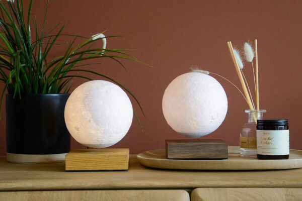 Floating Moon Lamps Ash and Walnut Bases MAIN 1
