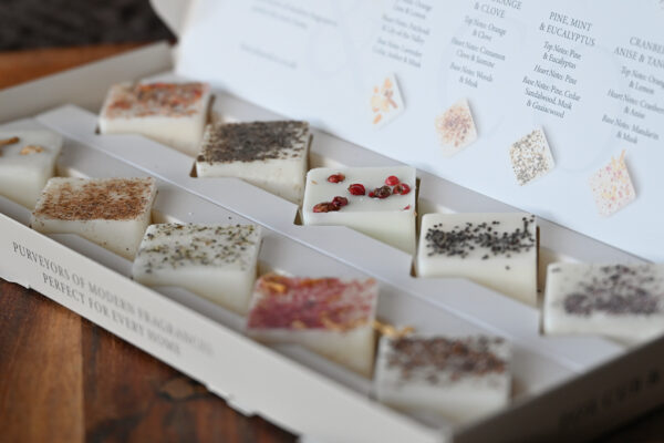 Fox Cub & Co Wax Melts Gift Set - Winter Edition