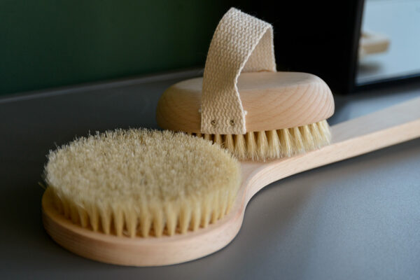 body brushes 2
