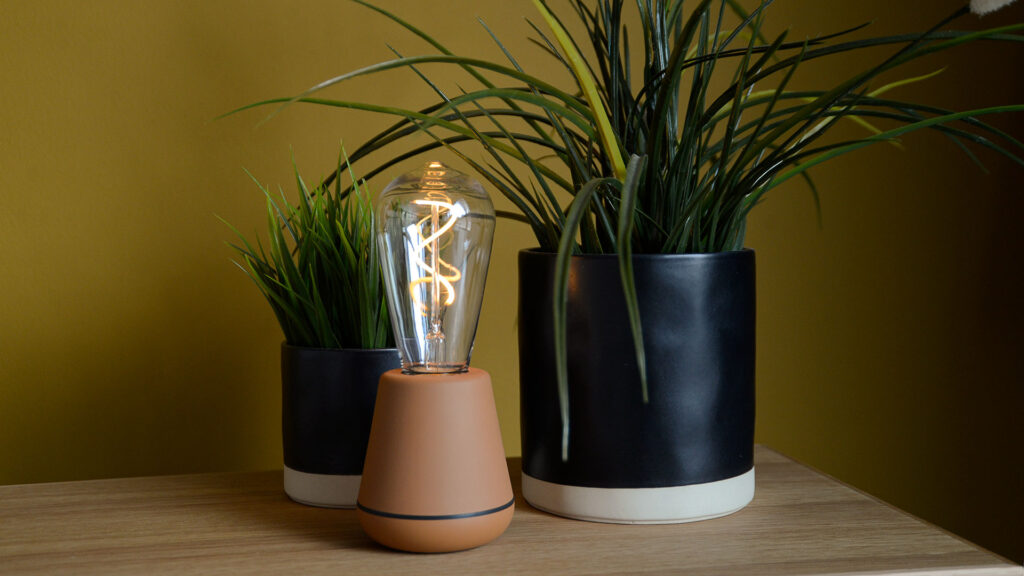 brown humble one outdoor lamp with plants