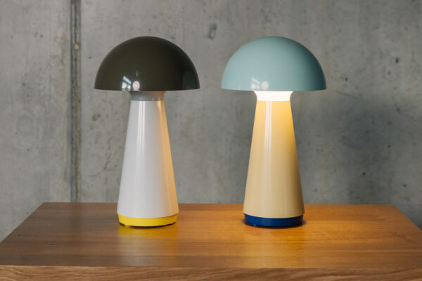 colourful mushroom lamps 1920