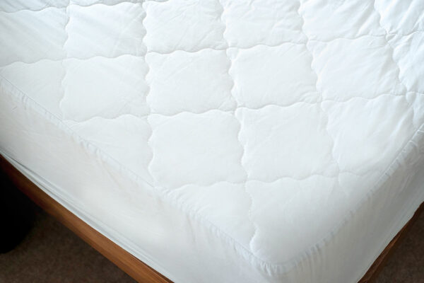 cotton mattress protector