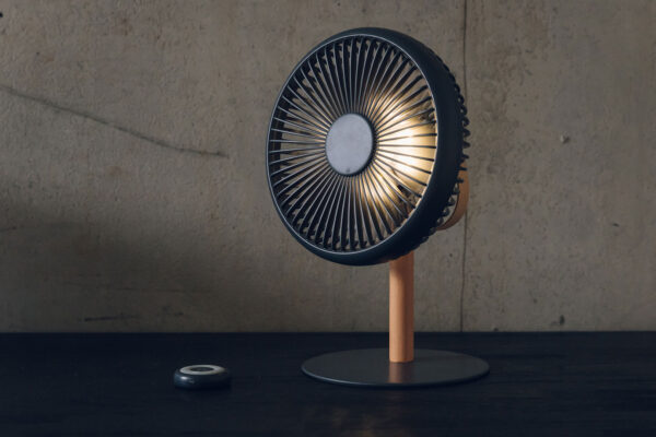 desk top fan with lamp and remote control