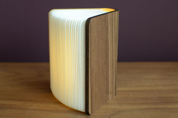 warm book light in walnut open2