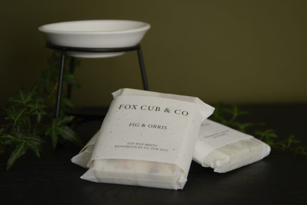 wax melts and burner