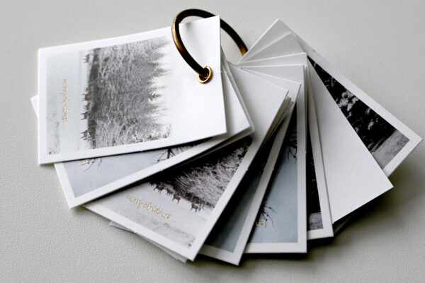 Set of 12 Christmas Gift Tags